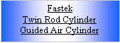 Text Box: FastekTwin Rod CylinderGuided Air Cylinder