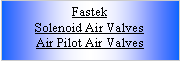 Text Box: Fastek Solenoid Air ValvesAir Pilot Air Valves